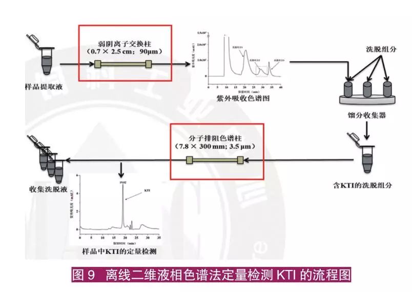 子猪养殖技术大全视频_仔猪养殖技术视频播放_猪的养殖技术视频