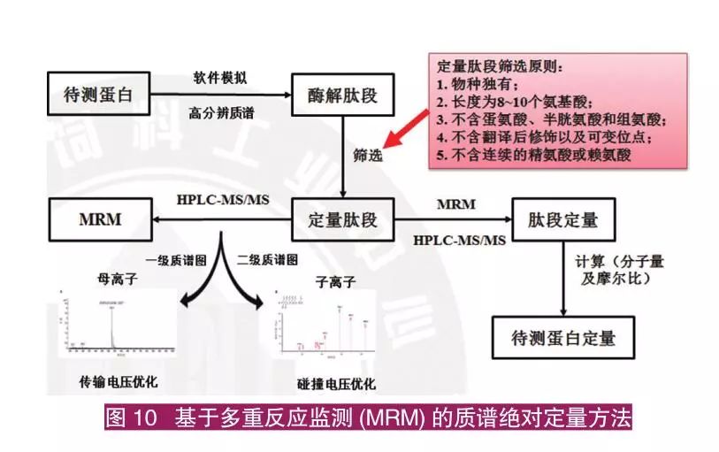 仔猪养殖技术视频播放_子猪养殖技术大全视频_猪的养殖技术视频