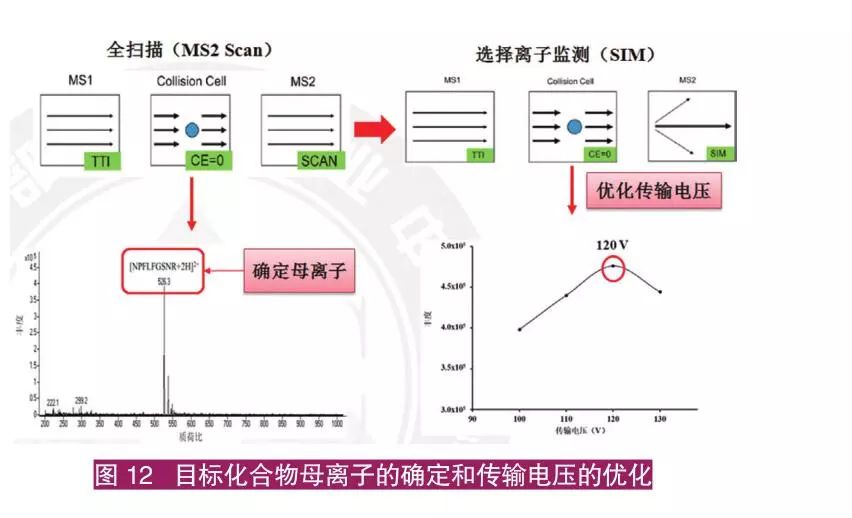 仔猪养殖技术视频播放_子猪养殖技术大全视频_猪的养殖技术视频