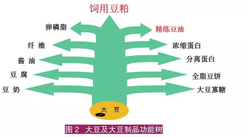 子猪养殖技术大全视频_猪的养殖技术视频_仔猪养殖技术视频播放