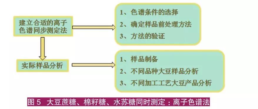 仔猪养殖技术视频播放_子猪养殖技术大全视频_猪的养殖技术视频