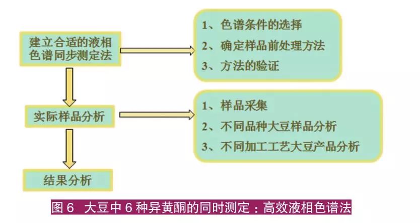 仔猪养殖技术视频播放_猪的养殖技术视频_子猪养殖技术大全视频