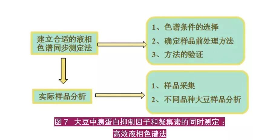 仔猪养殖技术视频播放_子猪养殖技术大全视频_猪的养殖技术视频