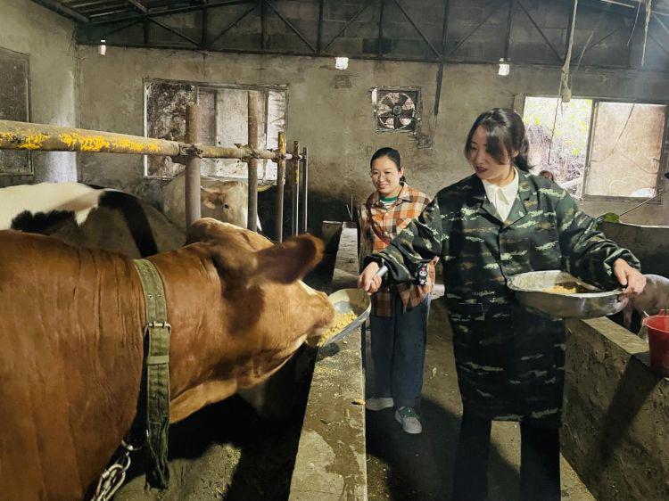 农视网致富经养殖豪猪_2021豪猪养殖前景_致富经豪猪养殖技术