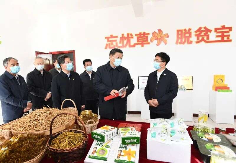 花卉致富种植高台图片大全_高台种植致富花卉_种花致富选什么品种