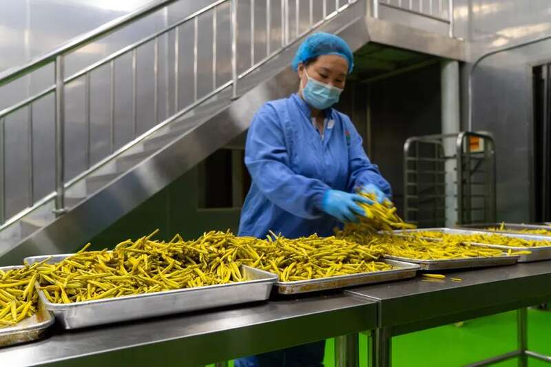 种花致富选什么品种_花卉致富种植高台图片大全_高台种植致富花卉