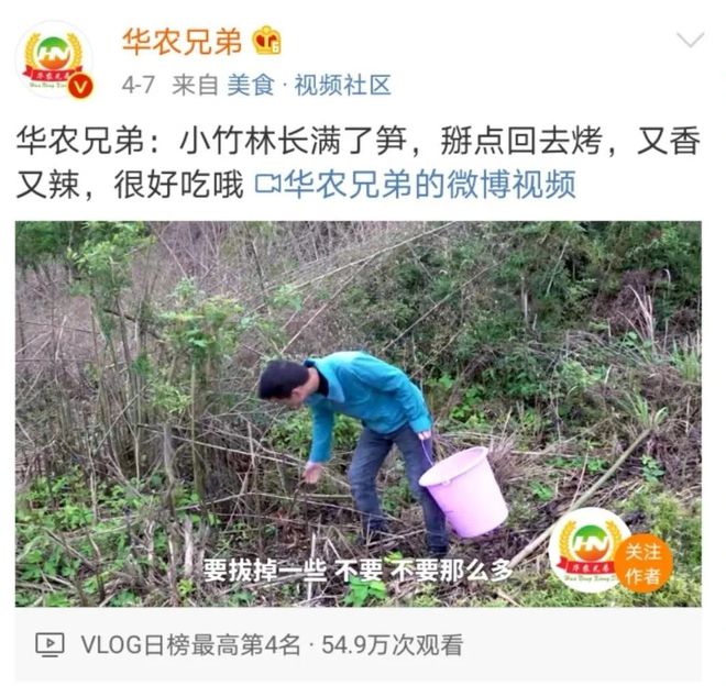 农视网致富经养殖豪猪_致富经豪猪养殖技术_每日农经豪猪养殖技术视频