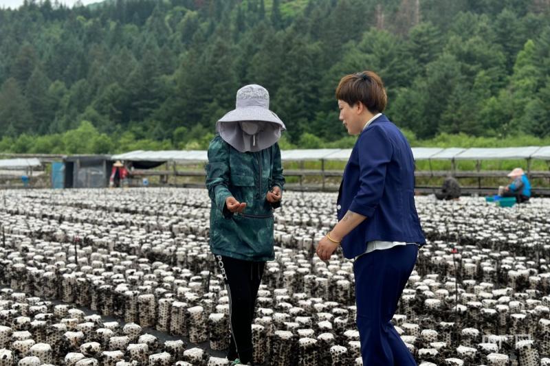 木耳种植的利润_种植木耳赚钱吗_农民种植木耳致富事迹材料