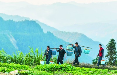 旱甜瓜种植致富_农广天地甜瓜种植技术视频_甜瓜种植条件