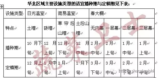 大棚种植甜瓜技术要点_大棚种植甜瓜技术视频_甜瓜大棚种植技术