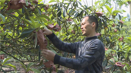 种植致富业_坚持生态种植致富_致富种植生态坚持什么原则