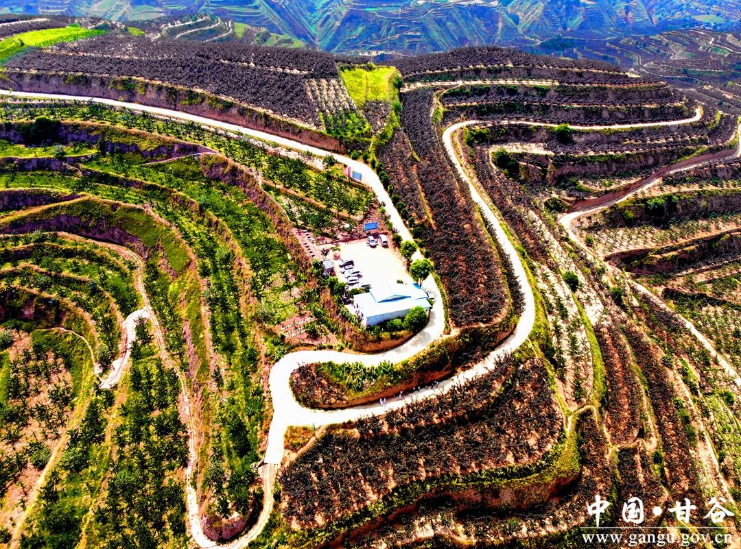 椒乡甘谷丨来文选登（一）·致富有“三宝”“花椒”是一宝