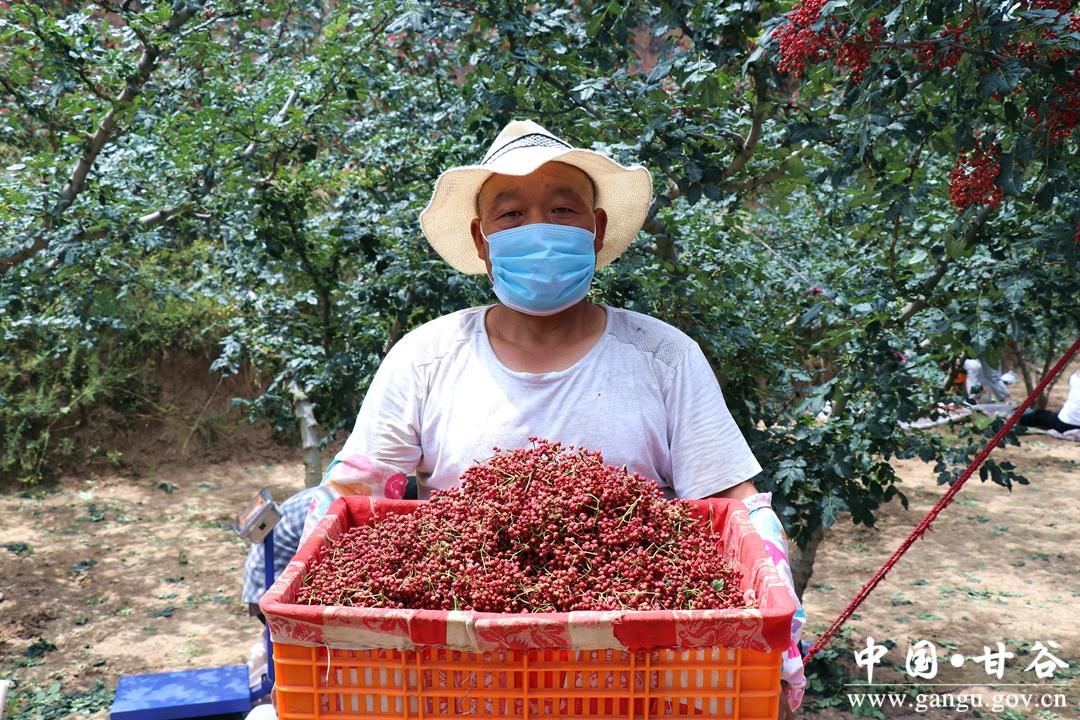 致富经种植花椒_花椒种植赚钱吗_种植花椒前景如何