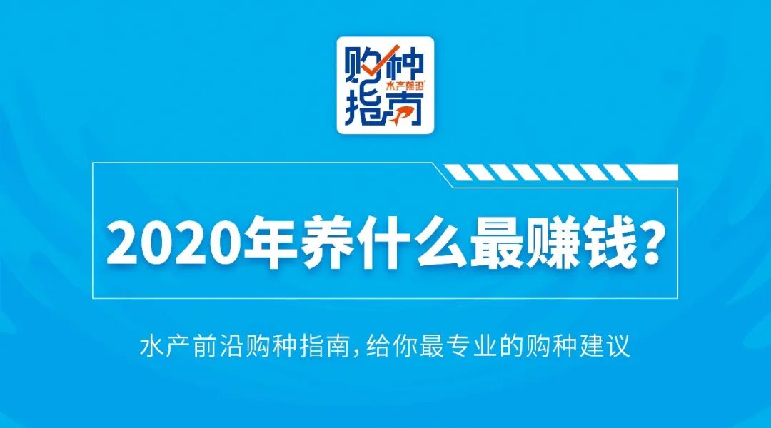 高产养鱼视频_养殖鱼视频全集_昌鱼养殖技术视频