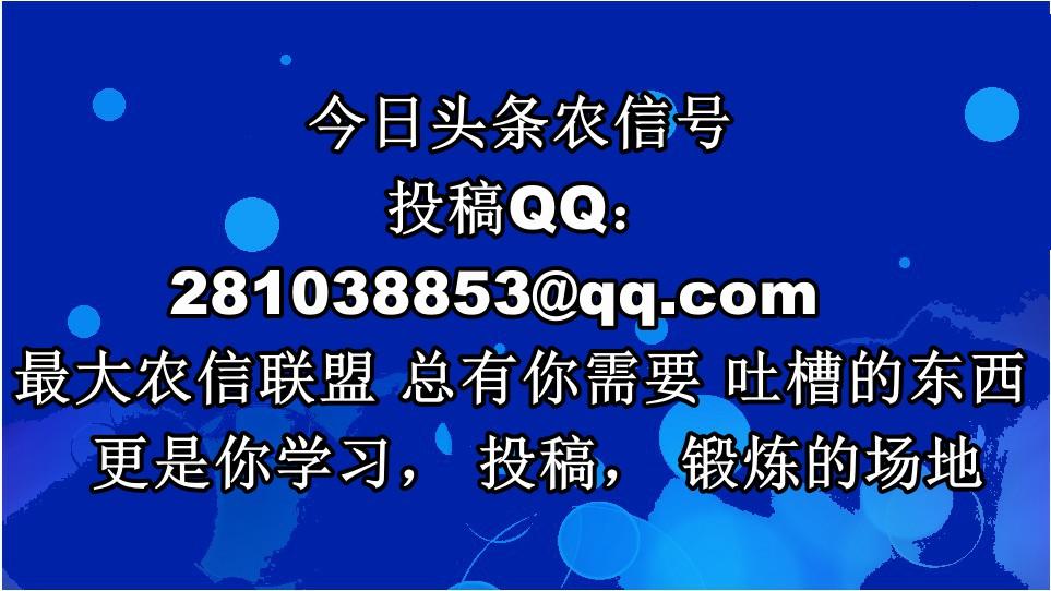 柜员优质服务_柜面服务优质品质经验分享_柜面优质服务心得体会