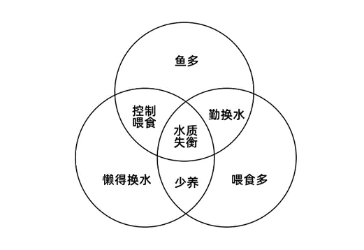 泥鳅养殖教程大全_泥鳅的养殖技术教程_养殖泥鳅的技术