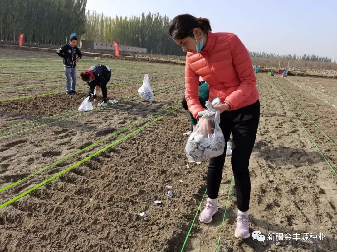 冬麦种植技术_麦冬种植技术视频_麦冬种植技术及亩收益