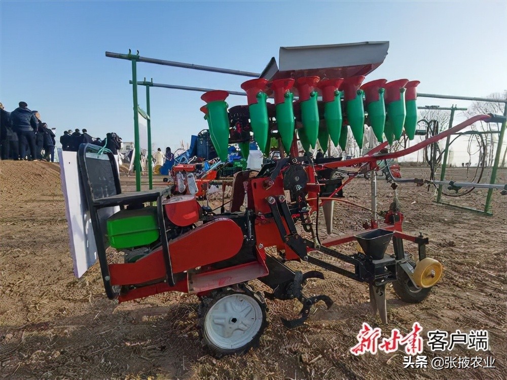 种花致富选什么品种_高台种植致富花卉_花卉致富种植高台图片