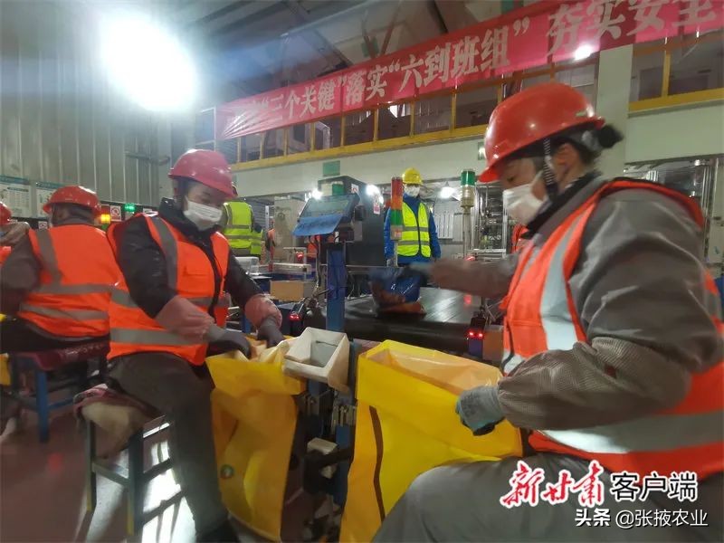 高台种植致富花卉_花卉致富种植高台图片_种花致富选什么品种