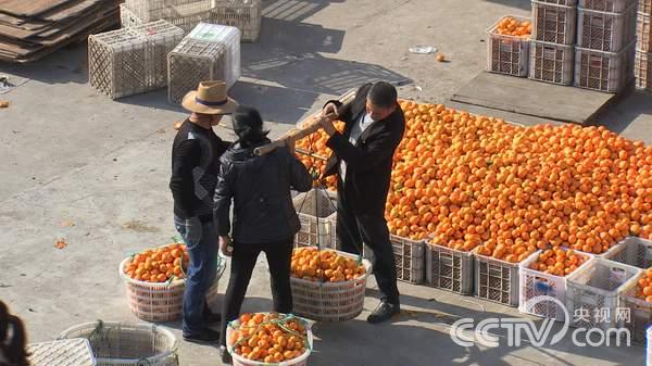 冯克昌致富经_致富经冯克_致富经冯仁方