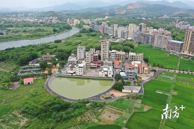 沙琅镇尚塘村：“养龟村”的绿美升级路｜茂名典型村一线行⑲