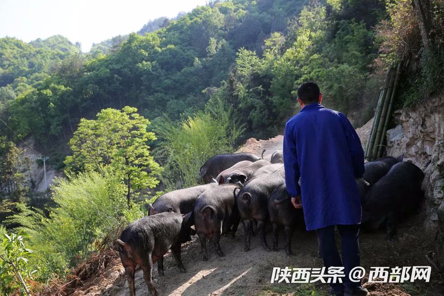 致富经穷小伙花掉2000元_穷小子发家致富小说_穷小子致富经