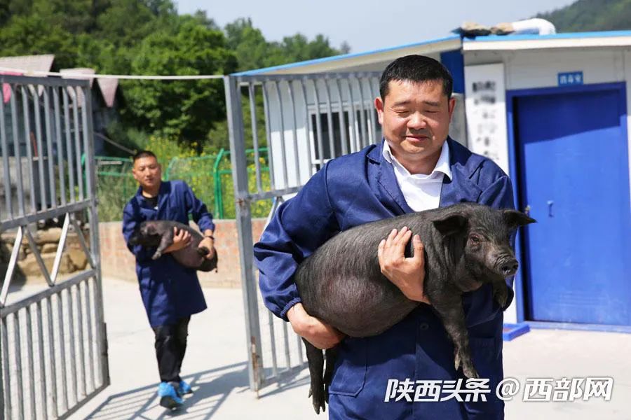 致富经穷小伙花掉2000元_穷小子发家致富小说_穷小子致富经