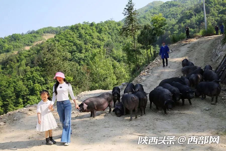 致富经穷小伙花掉2000元_穷小子发家致富小说_穷小子致富经