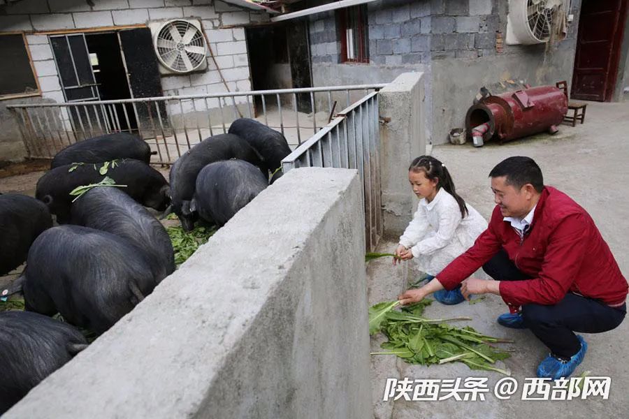 穷小子发家致富小说_致富经穷小伙花掉2000元_穷小子致富经