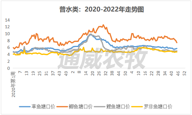 草鱼养殖技术视频高清_南方草鱼养殖技术视频_草鱼养殖视频教程