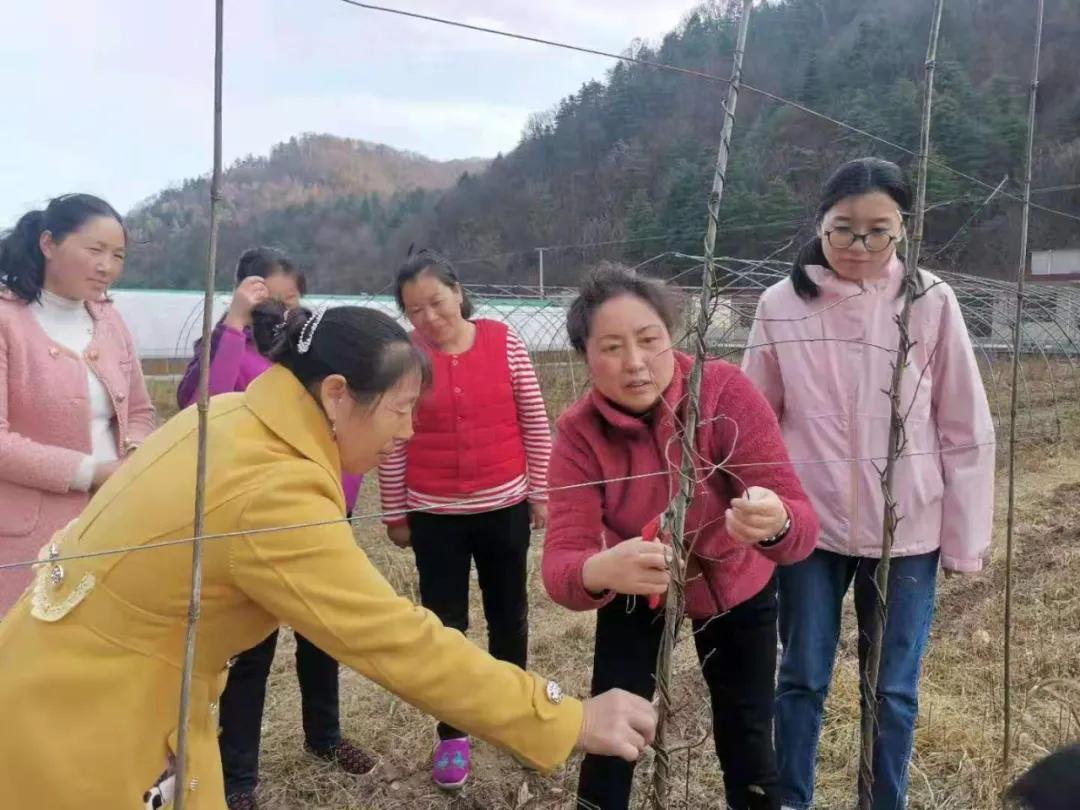 “泥腿”教授的“五味”人生