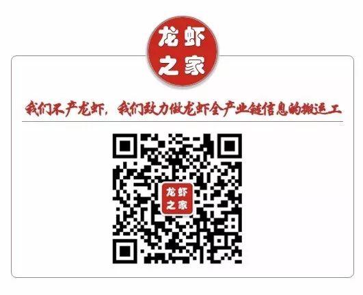 藕池龙虾养殖技术_藕池养小龙虾_小龙虾藕塘养殖技术