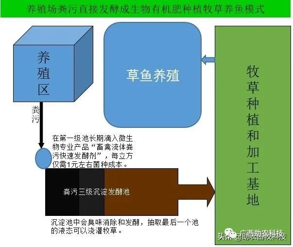 南方草鱼养殖技术视频_草鱼养殖视频教程_视频养殖南方草鱼技术大全