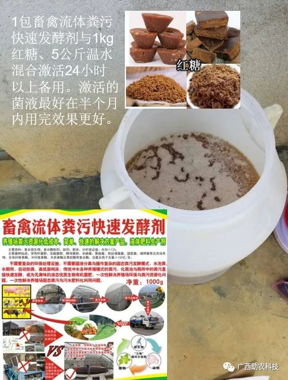 视频养殖南方草鱼技术大全_南方草鱼养殖技术视频_草鱼养殖视频教程