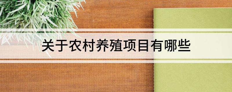 广东农村养殖网_广东养殖户_广东农村养殖致富好项目