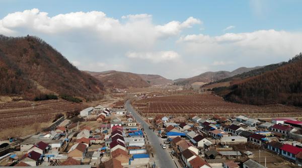 五味子栽培与种植技术_栽培种植五味子技术要点_五味子的栽培技术