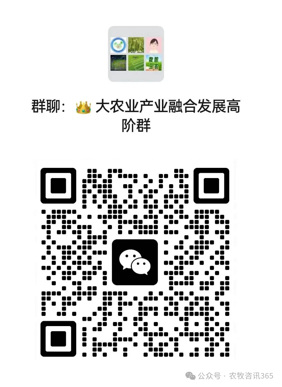 关于印发《2024年上海市粮食绿色高产高效行动实施方案》的通知