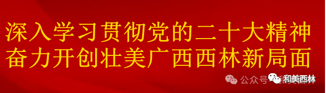 农村种植致富好项目_林西县种植作物_西林种植致富