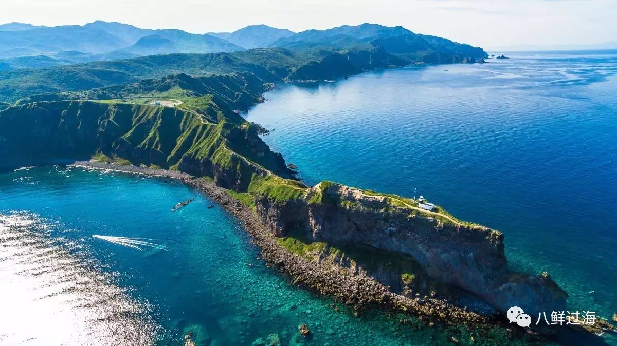 天然帆立贝：来自北海道的深海尤物，肥美可口不容错过的扇贝！