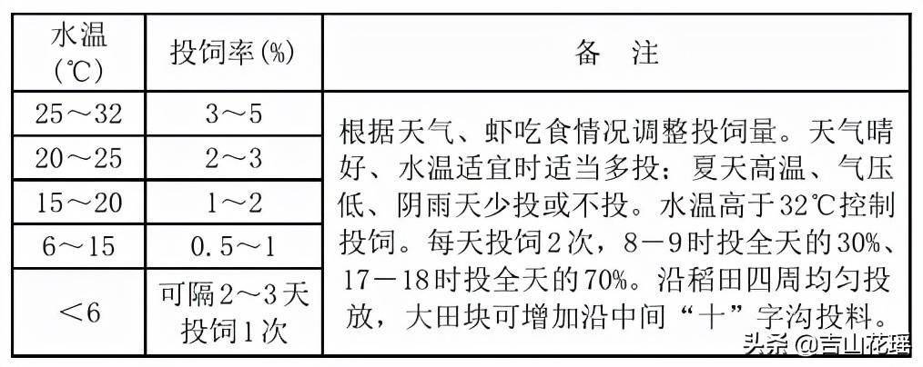 高密度青虾养殖新法_青虾高密度养殖技术_高密度养殖虾视频