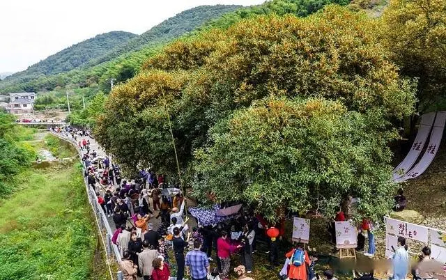 致富 农村 养殖 种植_农村致富种植养殖技术_农村致富养殖项目大全