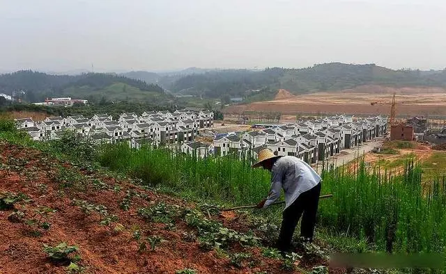 农村致富养殖项目大全_农村致富种植养殖技术_致富 农村 养殖 种植