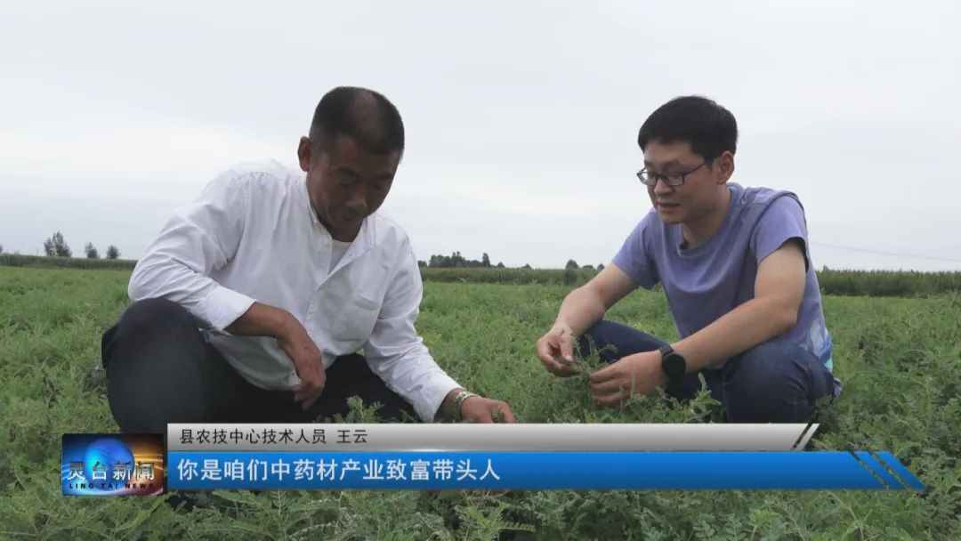 【视频】我们这十年•脱贫攻坚与乡村振兴——壮大中医康养产业链 开辟乡村振兴新路子