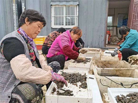 水蛭网箱多少钱一个_水蛭网箱养殖视频_水蛭网箱养殖技术2017