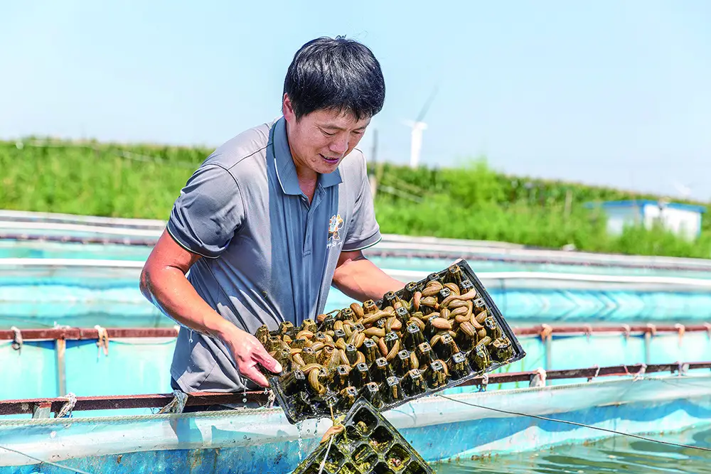 致富养殖水蛭视频_致富经养殖水蛭_致富养殖水蛭赚钱吗