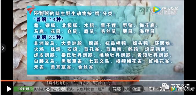 视频| 这些野生动物不能再吃了，包括鹌鹑、鳄龟、蝎子