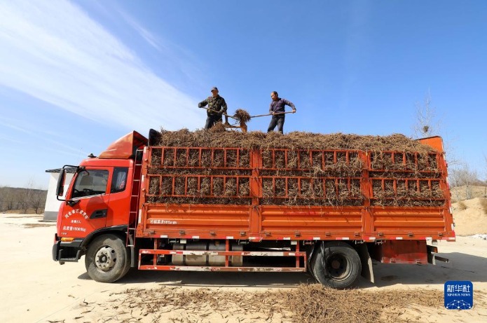 石家庄种植基地_石家庄适合种植什么经济作物_石家庄种植致富