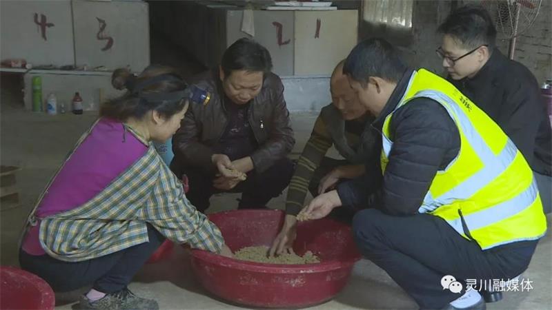 广西农村养殖赚钱项目_广西农村致富网养殖业_广西免费养殖致富