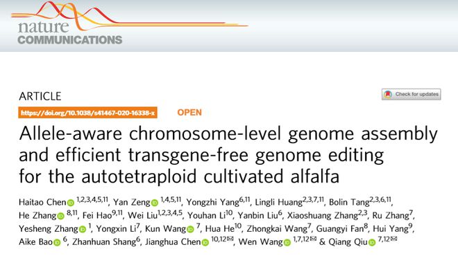 Nature Commun | 中国学者破译同源四倍体紫花苜蓿基因组并建立基因编辑育种体系