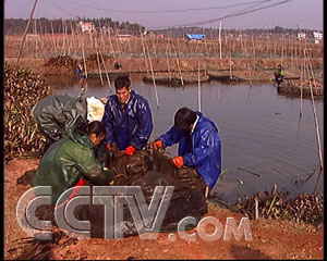 养殖黄鳝挣钱吗_致富经黄鳝 养殖_致富养殖黄鳝赚钱吗